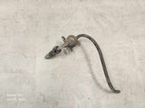 1999-2000 Mazda Protege Fuel Rail 1.6L