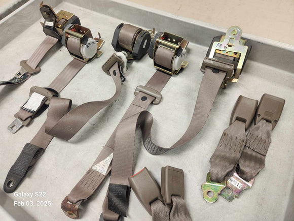 1999-2003 Mazda Protege Seat Belt (Brown)