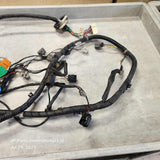 2002-2003 Mazda Protege5  Headlight Harness