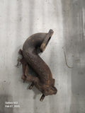 2003 Mazdaspeed Protege S Pipe